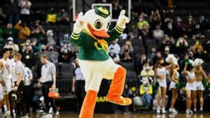 2025 Tournament Challenge Guide to Team Mascots, School Colors, and Famous Alumni