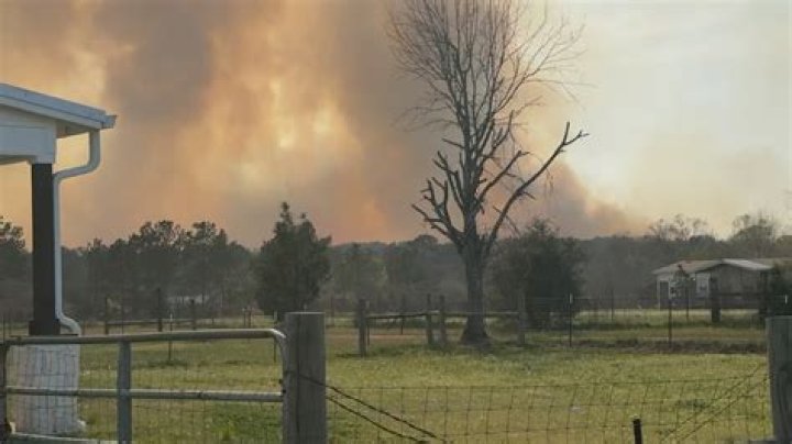 900 Homes Under Evacuation Orders in San Jacinto and Montgomery Counties Amid Wildfire Crisis