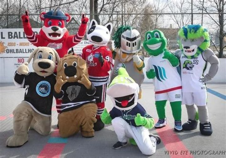 Akron's Zippy Dethroned by Another Ohio College Mascot in Sports Illustrated Ranking
