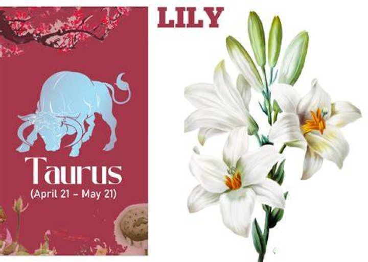 April 21st Zodiac: Unveiling the Mystical Traits of Taurus