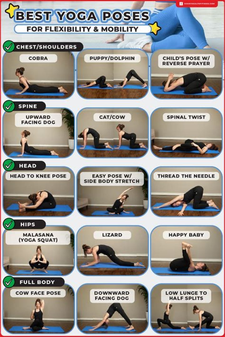 Bollyflex: Your Ultimate Guide to Bollywood Flexibility and Fitness