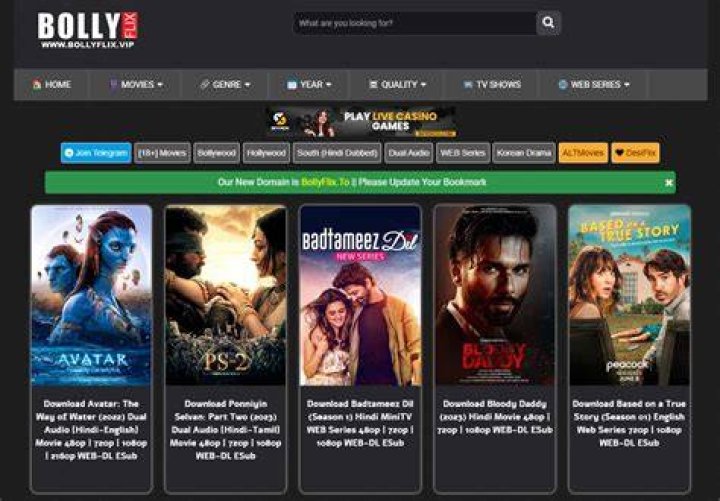 Bollyflix.com Africa: Your Ultimate Destination for Bollywood Entertainment
