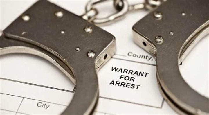 Corruption and Terror Investigation: The Arrest Warrant for Ekrem İmamoğlu