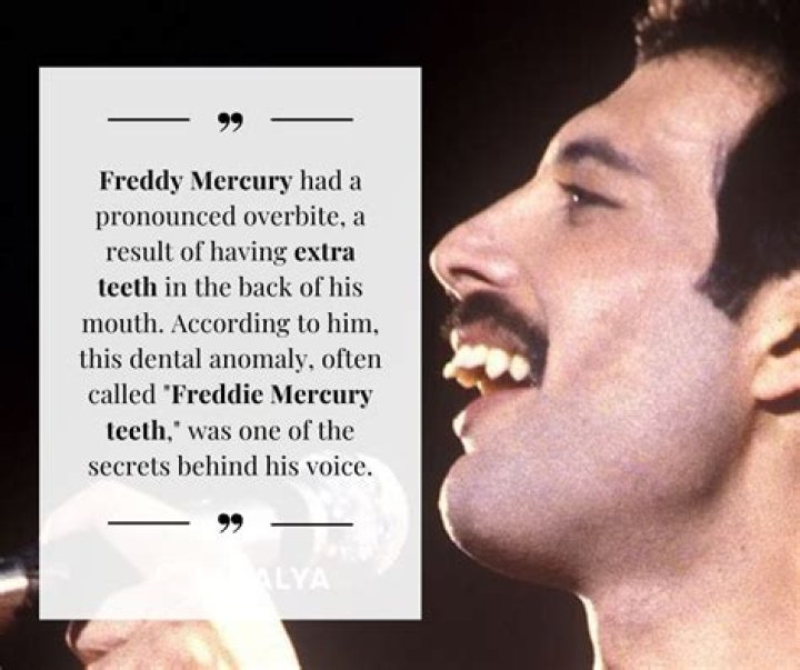 Did Freddie Mercury Have Kids? Unveiling the Truth Behind the Legend