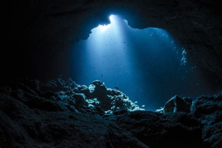 Exploring the Depths of Sone-097: A Fascinating Dive
