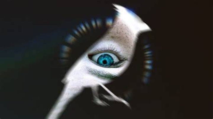 Five MovieRulz: Unveiling the Hidden Gems of Film Streaming
