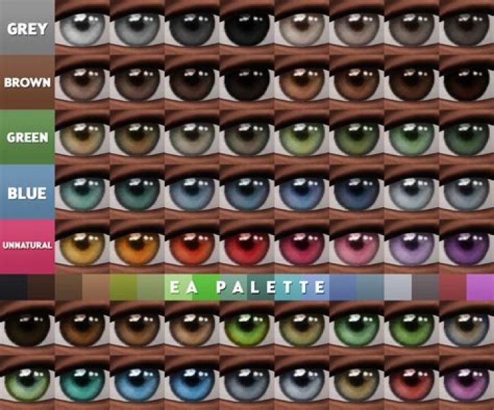 Frank Sinatra Eye Color: The Iconic Shades That Defined a Legend