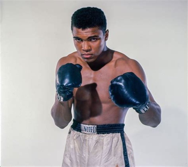 Frank: The Remarkable Journey of an Iconic Figure