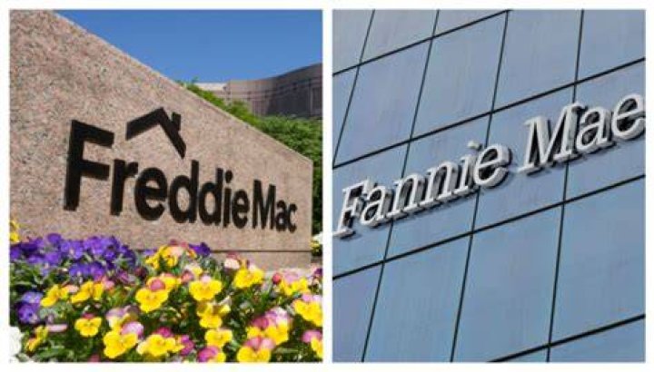 Freddie Mac: The Key Player in the US Housing Market