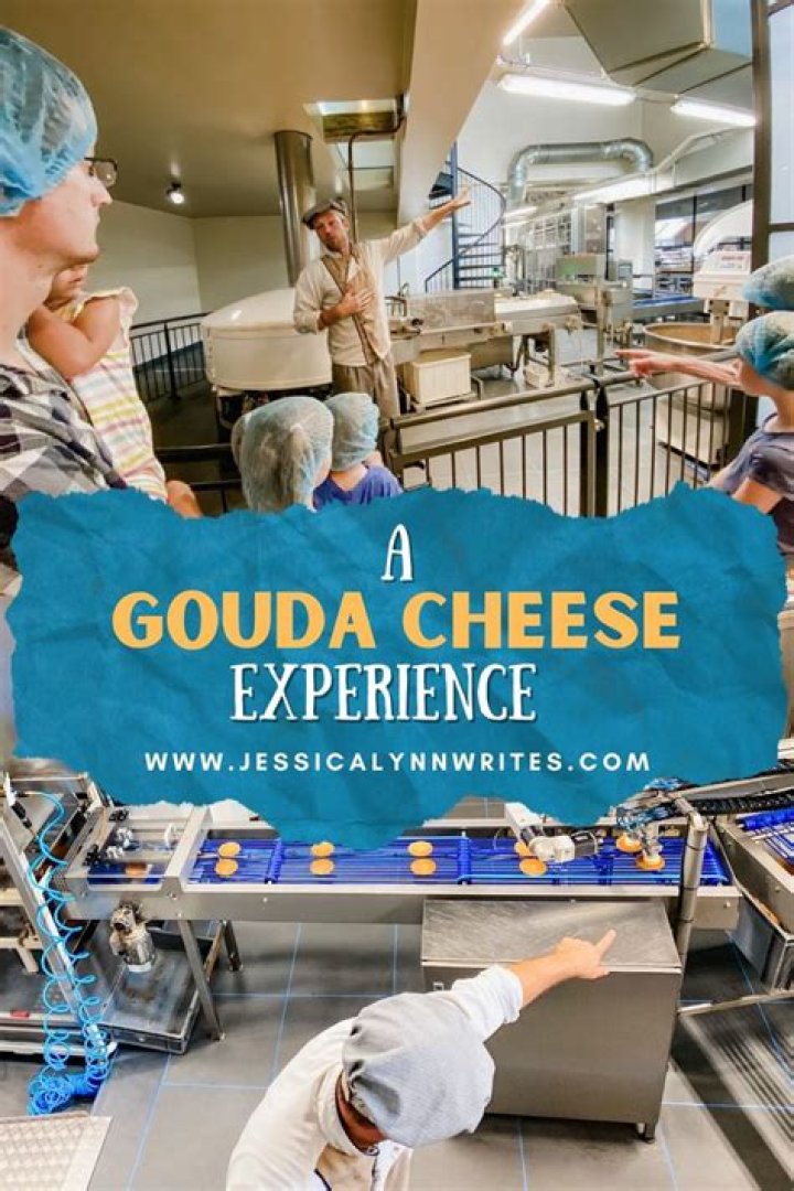 Gouda: The Ultimate Cheese Experience You Deserve to Try