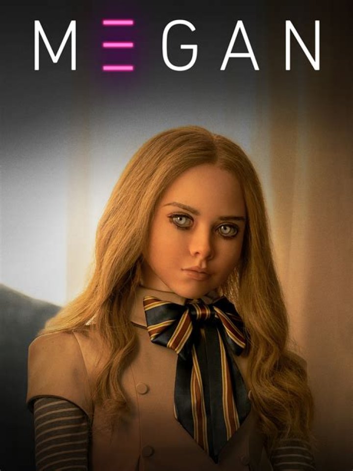 Is Megan Is Missing Real Footage: A Comprehensive Analysis