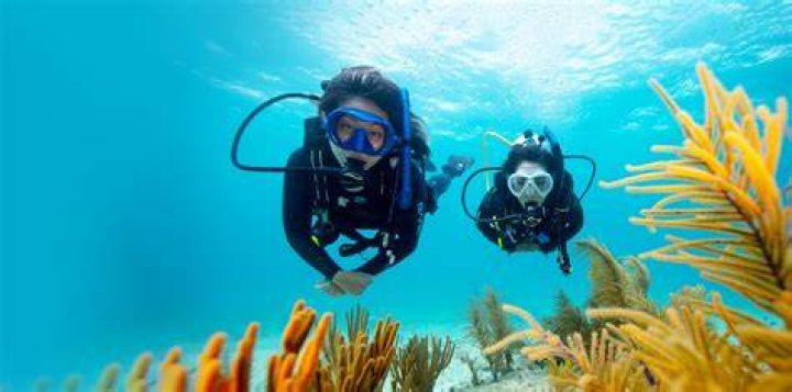 Is Today the First Day of Spring? Let's Dive In and Find Out!