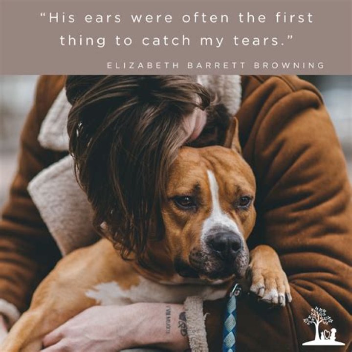 Jackerman Warmth Mother: The Heartfelt Journey of Love and Compassion