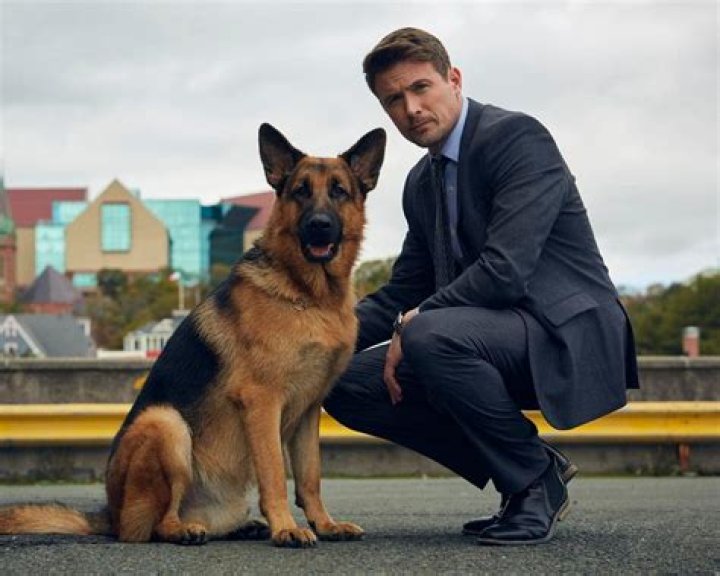 John Reardon and TV Shows: A Comprehensive Guide to His Cinematic Journey