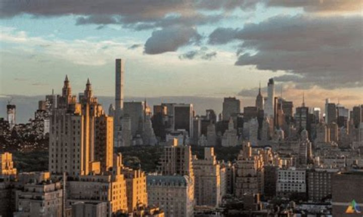 Laszlo New York City Gif: The Ultimate Guide to a Viral Sensation