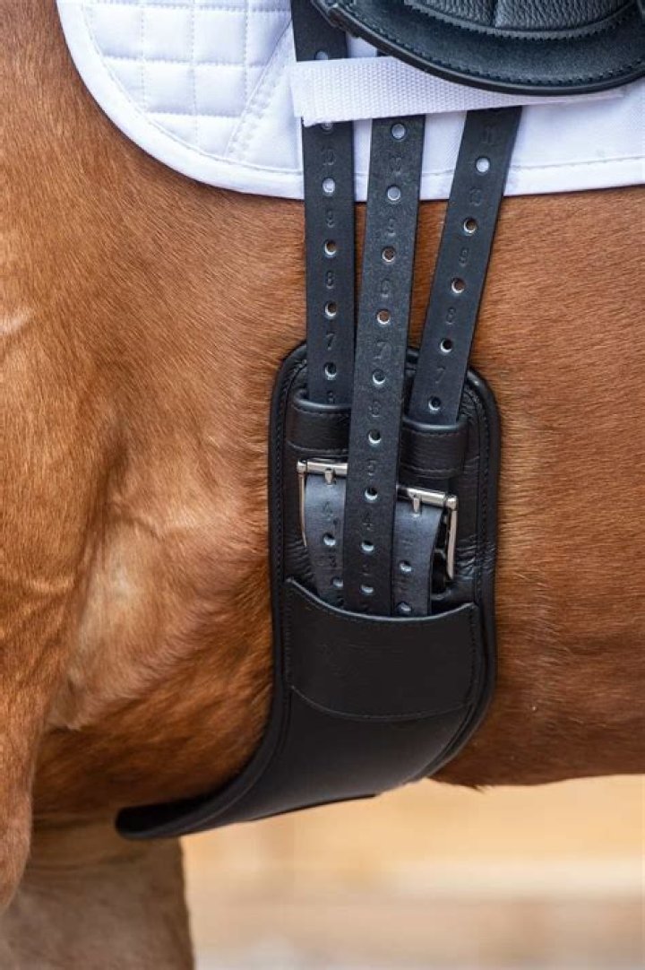 Miaz 12 and Girthmaster: The Ultimate Guide You've Been Waiting For!
