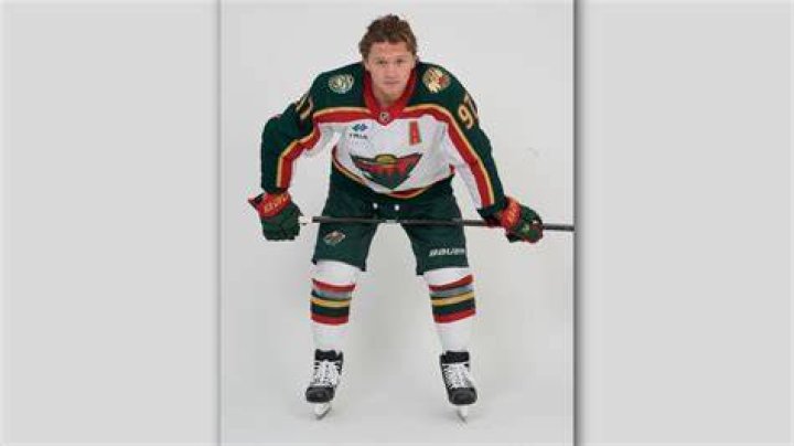 Minnesota Wild: The Untamed Spirit of Hockey in the North
