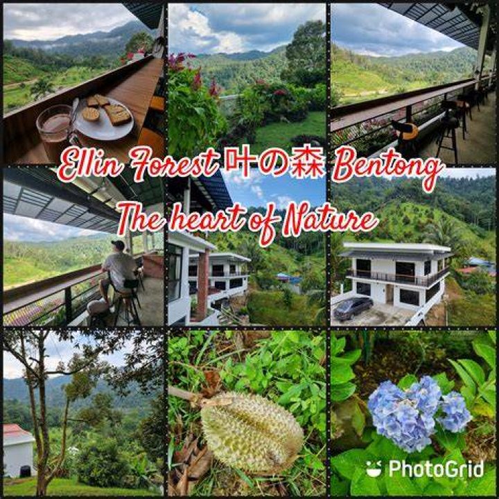 Mount St. Mary's: A Hidden Gem in the Heart of Nature