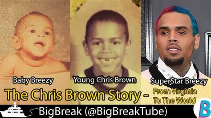 Nia Guzman and Chris Brown Story: The Untold Chapters