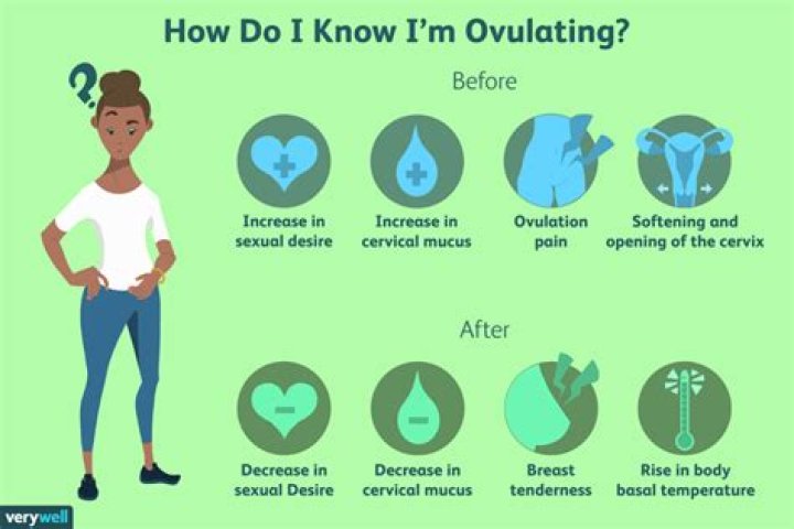 Ovulating Meme: The Ultimate Guide to Viral Humor and Fertility Fun