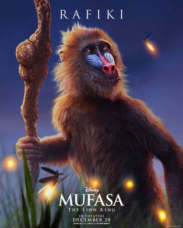 Rafiki Lion King: The Wisest Character of Pride Lands