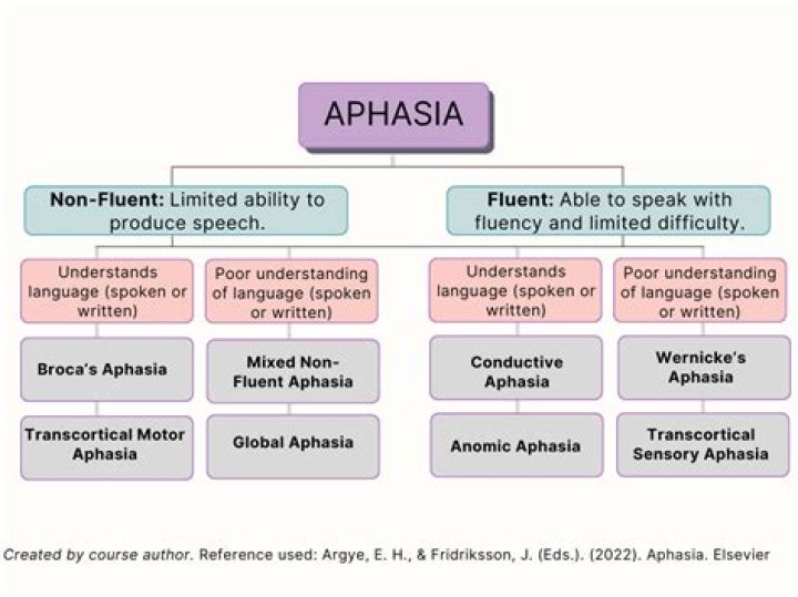 Randy Travis Aphasia: The Story of a Country Legend's Battle with Speech Challenges