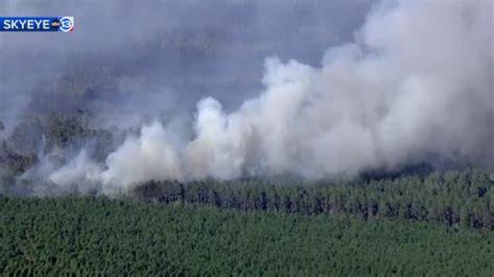 San Jacinto Co. Wildfire: Crews Battle Fire That's 10% Contained at Sam Houston National Forest After 1,300 Acres Burned