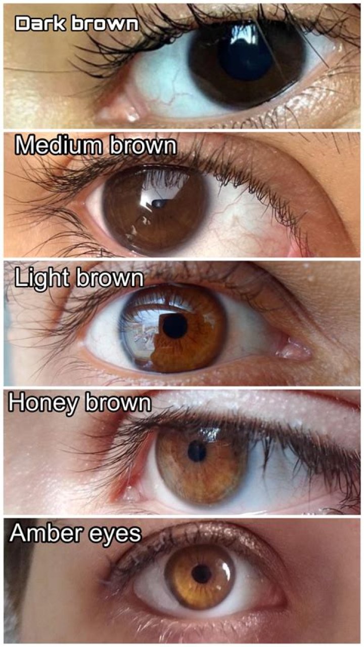Sandra Smith Eyes Color: A Comprehensive Exploration of Her Iconic Eye Shade