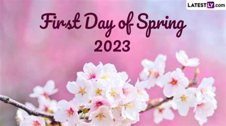 Spring Fever: Your Ultimate Guide to the First Day of Spring 2025