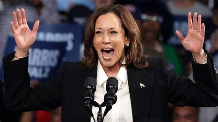 Tara Palmeri Says Democrats Would Be &lsquo;Crazy&rsquo; to Run Harris for President Again
