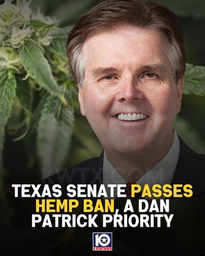 Texas Senate Passes Hemp Ban, a Dan Patrick Priority: What You Need to Know