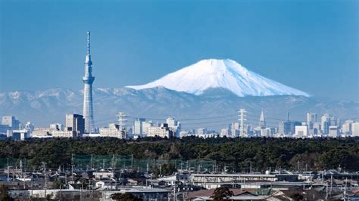 Tokyo Series: The Ultimate Dive into Japan's Vibrant Urban Saga