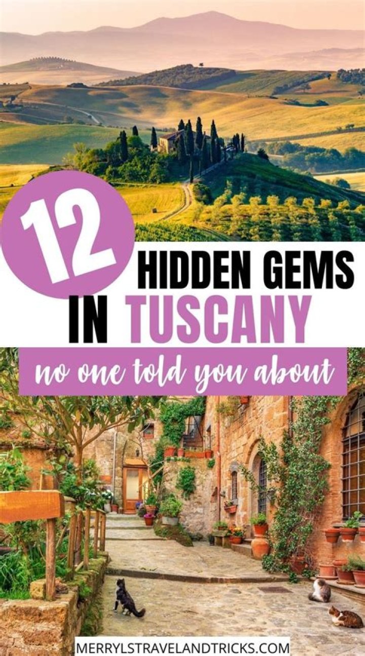 Unveiling the Hidden Gems of San Jacinto County: A Journey Through History, Culture, and Adventure