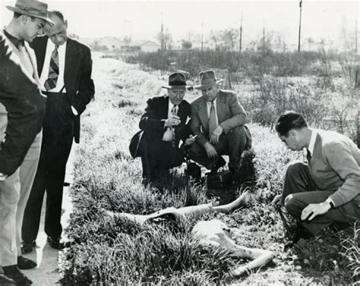 Unveiling the Secrets Behind Black Dahlia Murder Crime Scene Photos