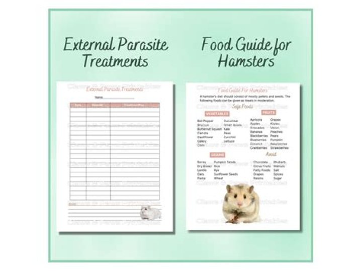 Unveiling the Truth About x.hamster: A Comprehensive Guide