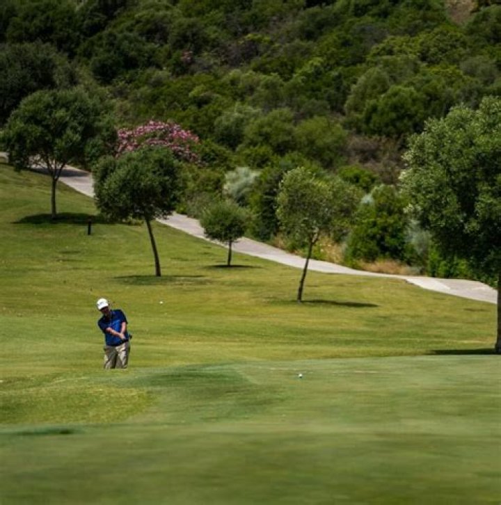 Valspar Championship: The Ultimate Guide to Golf's Crown Jewel