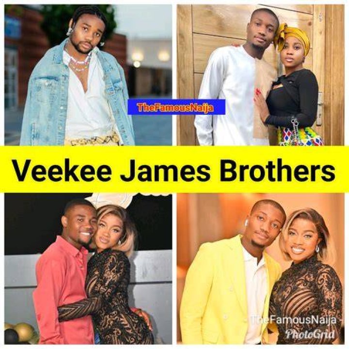 Veekee James Biography: The Untold Story of a Rising Star