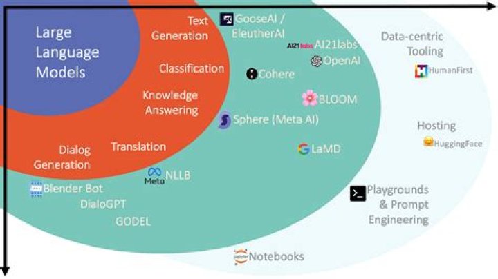 Wasmo Link 2025: The Ultimate Guide to Unlocking the Future