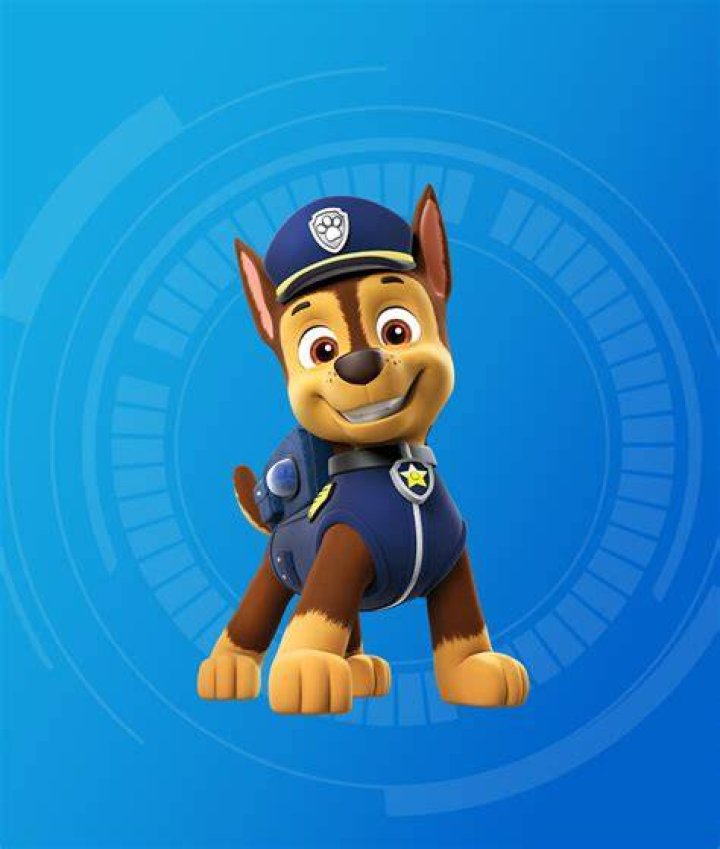 What is the Name of the Police Dog in Paw Patrol? Unleashing the Details