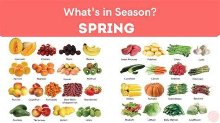 When is Spring 2025? Your Ultimate Guide to the Season of Renewal