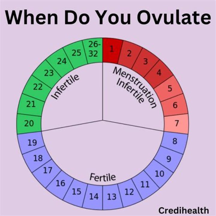 When You Ovulating Meme: The Ultimate Guide to Laughing and Learning About Ovulation