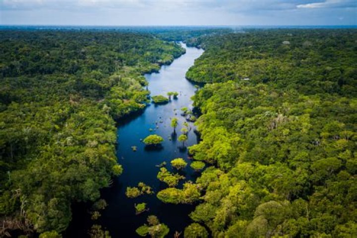 Why Brazil Is a Must-Visit Destination: Unveiling the Heart of South America