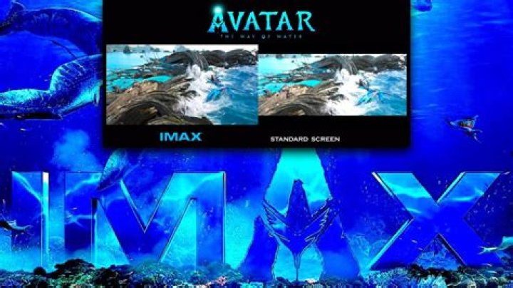 Why mkv.cinema.in south is Your Ultimate Destination for Movie Enthusiasts