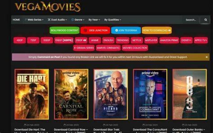 Why Vegamovies 4k is Your Ultimate Streaming Haven