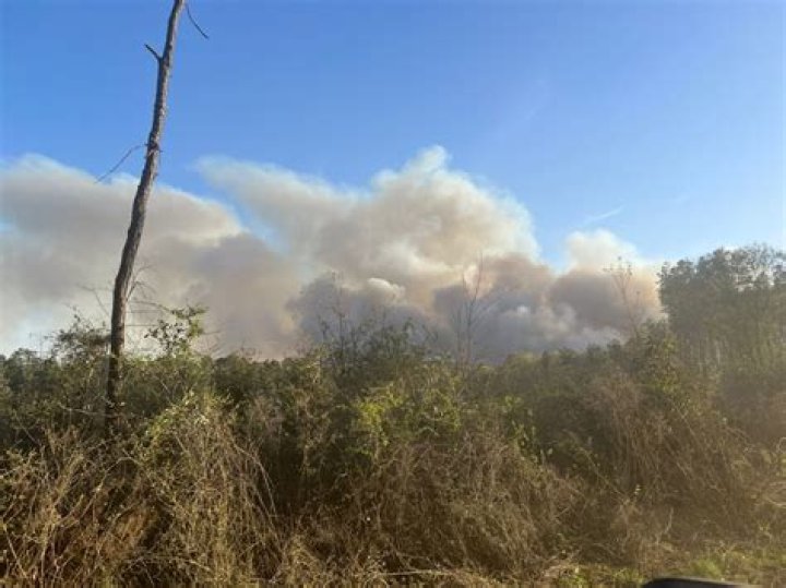 Wildfire in San Jacinto Co. Grows to 2,000 Acres, 10% Contained | Several Evacuations in Place