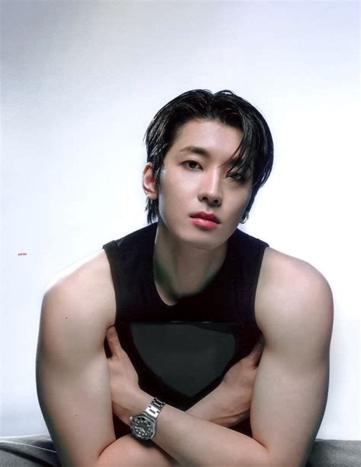 Wonwoo Abs: The Ultimate Guide to His Chiseled Physique