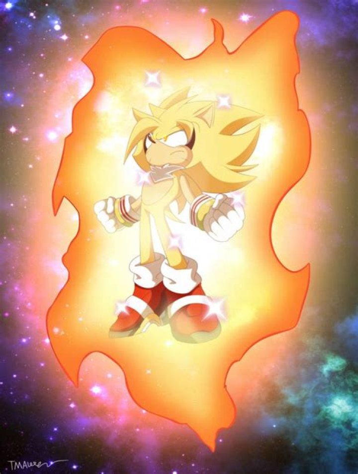 Zachary the Hedgehog: The Cutest Star of the Animal Kingdom